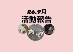 R６．９月活動報告