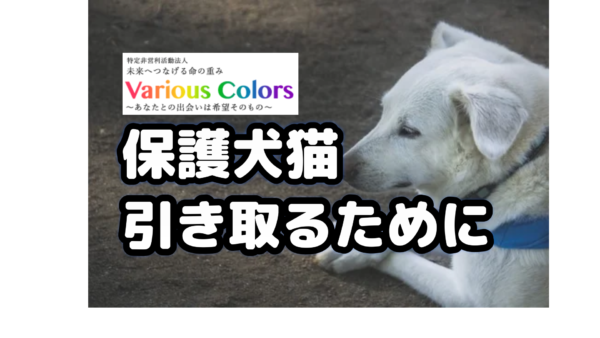 保護犬猫を引き取るために