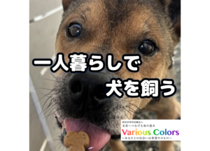 「一人暮らしで犬を飼おう！」と考えることがあるかもしれないが・・・