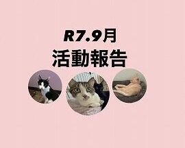 R７．９月活動報告