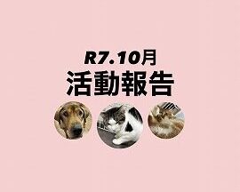 R７．１０月活動報告
