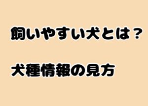 “飼いやすい犬”とは？犬種情報の見方