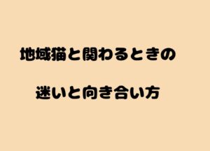 地域猫と関わるときの迷いと向き合い方