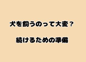 「犬を飼うのって本当に大変？」費用と現実から考える、続けるための準備