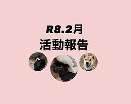 R８．２月活動報告