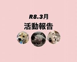 R８．３月活動報告