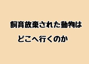 飼育放棄された動物たちはどこへ行くのか