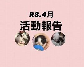 R８．４月活動報告