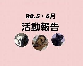 R８．５・６月活動報告