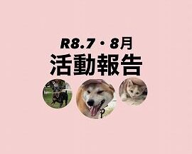 R８．７・８月活動報告